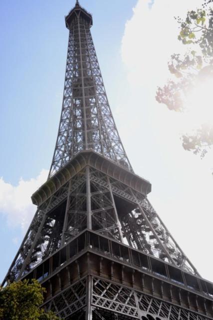 Accommodatie bij particulieren Eiffel Tower Oasis 30m From Eiffel Tower Parijs
